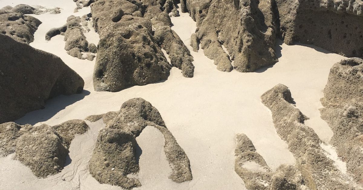 17 Birthday Quotes to Inspire and Celebrate Your Special Day