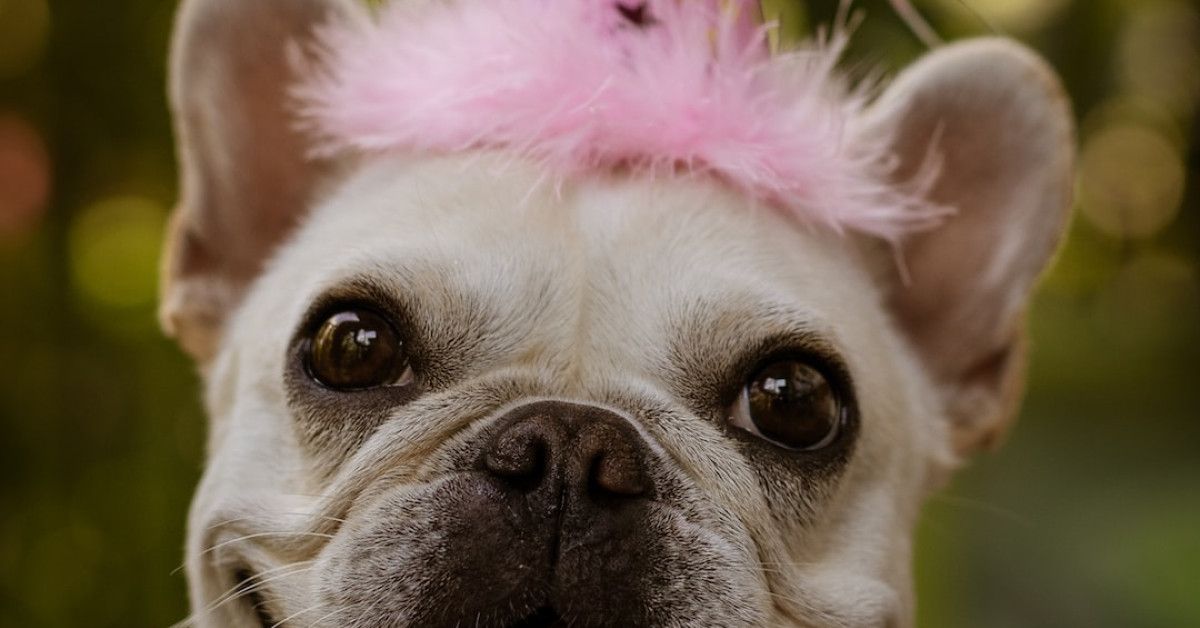 30th Birthday Memes That Will Make You Laugh Out Loud