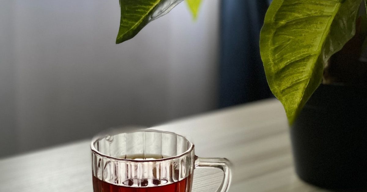 33 Inspiring Birthday Quotes to Bring Joy and Celebration