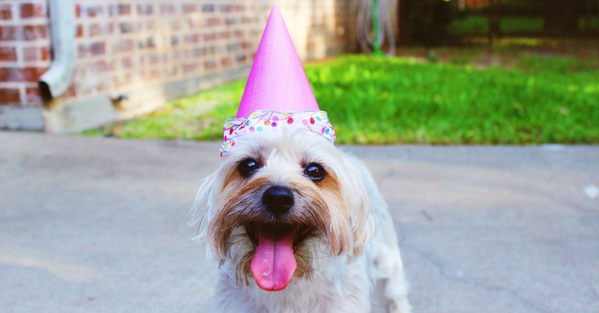 41 and Fabulous: The Funny Side of Turning a Year Older!