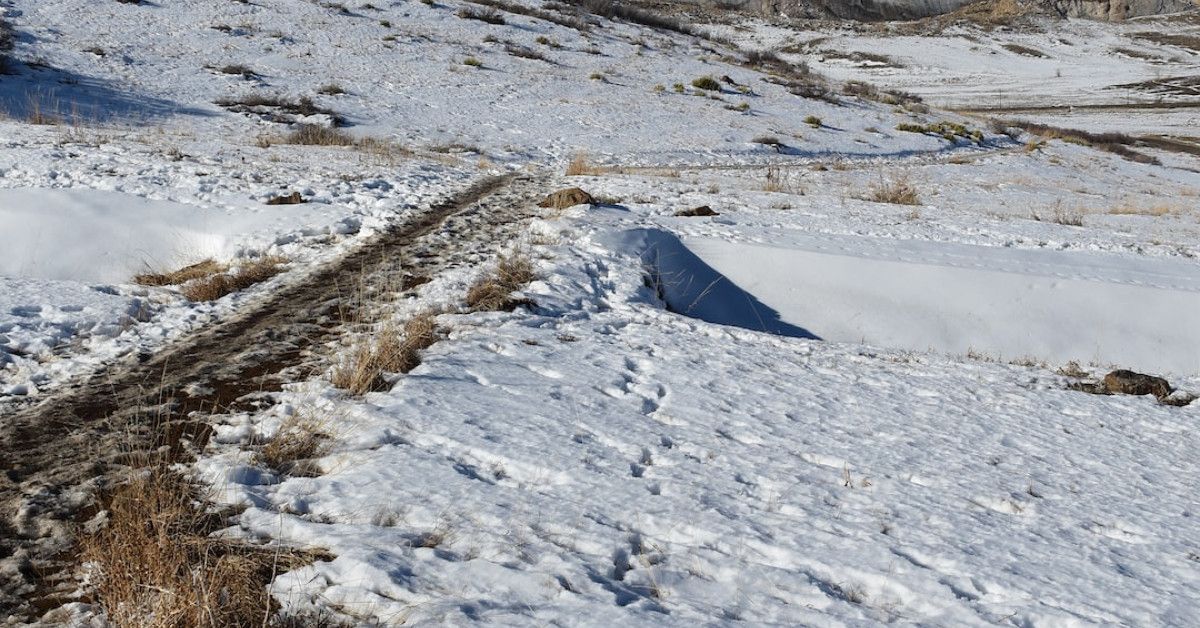 50 Golden Birthday Captions to Make Your Milestone Celebration Shine!