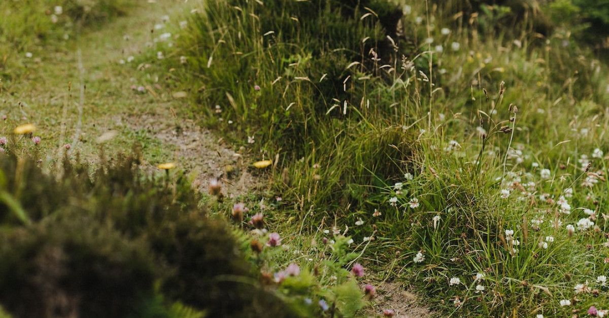 An Irish Blessing to Brighten Your Birthday Celebration: Embrace the Luck and Joy