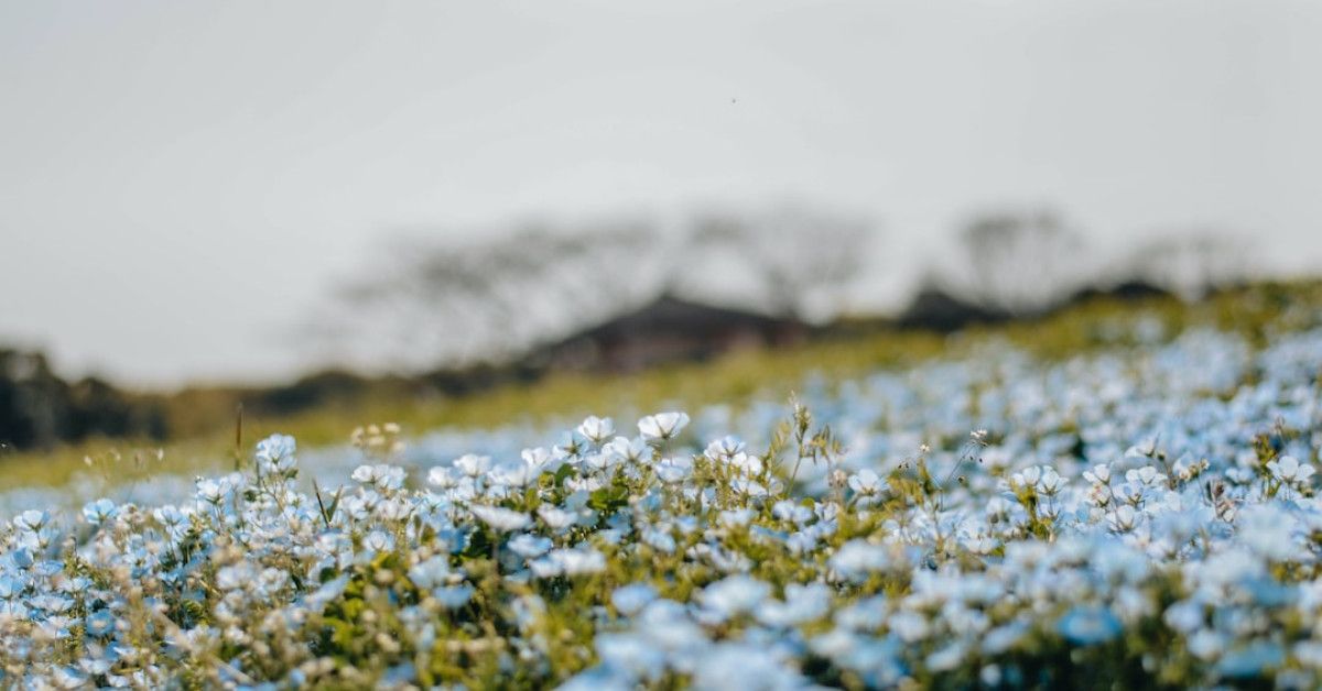 The Ultimate Guide to Choosing the Perfect 27th Birthday Caption