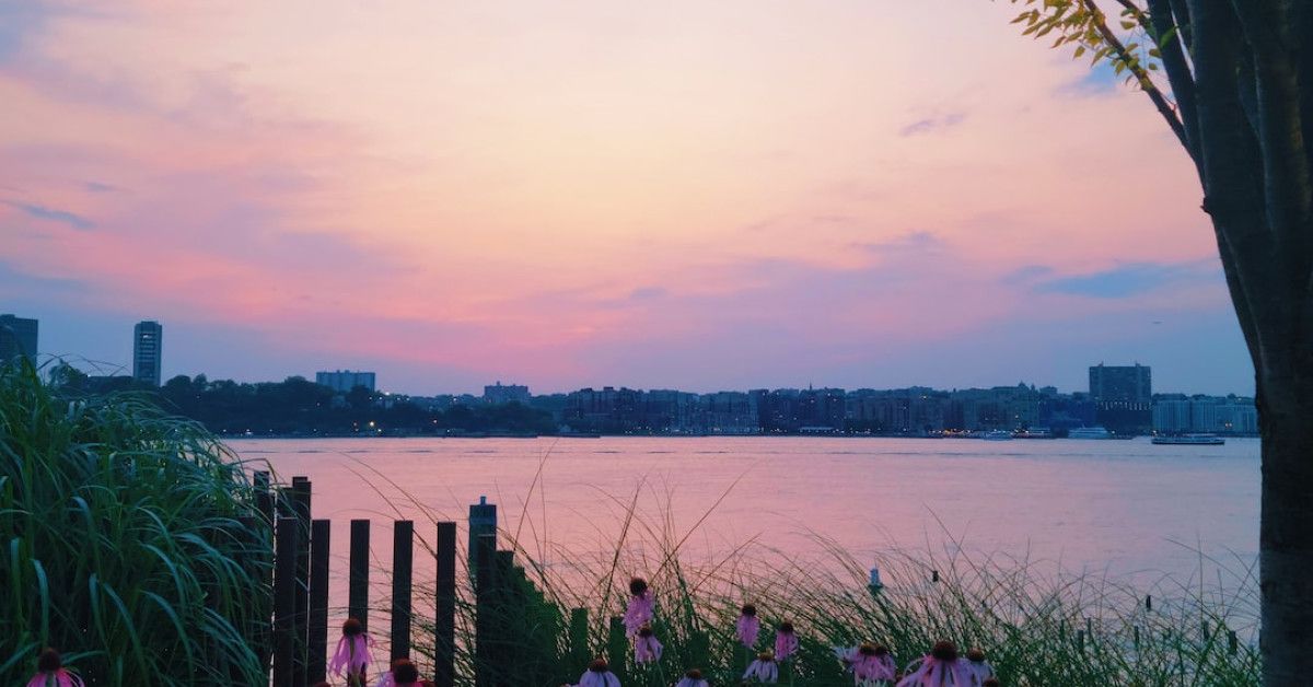 Unleash the Celebration: 13th Birthday Wishes That Will Leave Them Speechless!